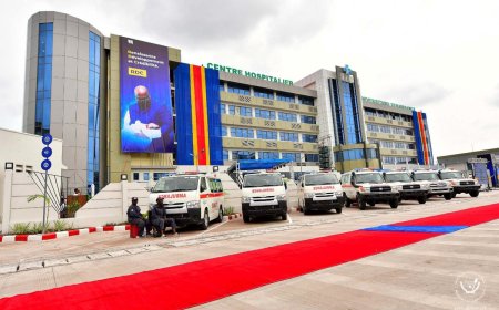 Monkeypox : Plus de 30 cas recensés à l'ex-Mama Yemo en 3 semaines