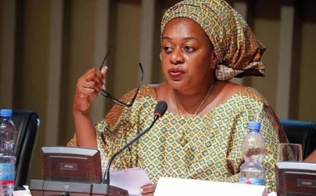 RDC : Adoption par le Gouvernement du Projet - Loi portant principes fondamentaux relatifs à la culture et aux arts