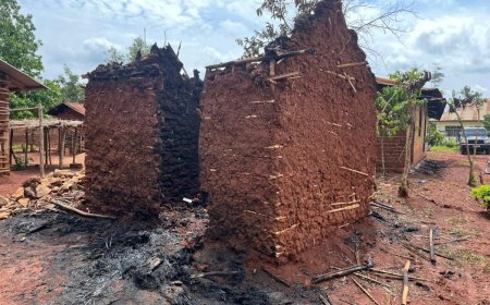 Beni : des militaires FARDC détruisent des maisons des civils à Kinyembahore (Société civile)