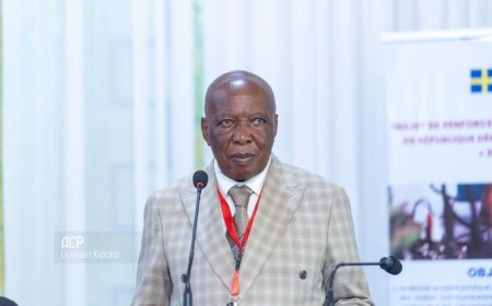 RDC : Kamanda wa Kamanda porté à la présidence de l'UNPC 