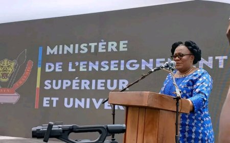 Système LMD en RDC : les données recueillies démontrent que le gouvernement devrait mettre à disposition les moyens conséquents pour une mise en œuvre efficace et efficiente [Conseil des ministres]