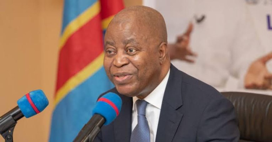 Muzito : « le changement est nécessaire pour avoir une constitution promulguée par un président démocratiquement élu »