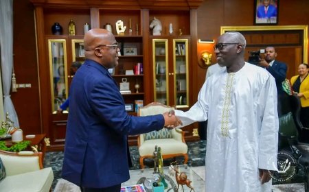 RDC : un envoyé de l'union africaine reçu par Tshisekedi