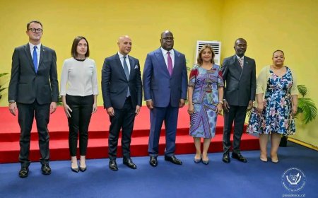 RDC : Félix Tshisekedi reçoit les lettres de créance des trois nouveaux ambassadeurs 