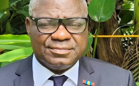 États généraux de la Justice : les diagnostics et remèdes de Luzolo Bambi