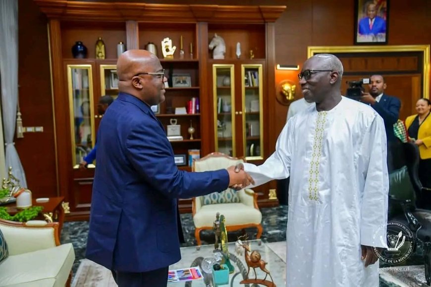 RDC : un envoyé de l'union africaine reçu par Tshisekedi